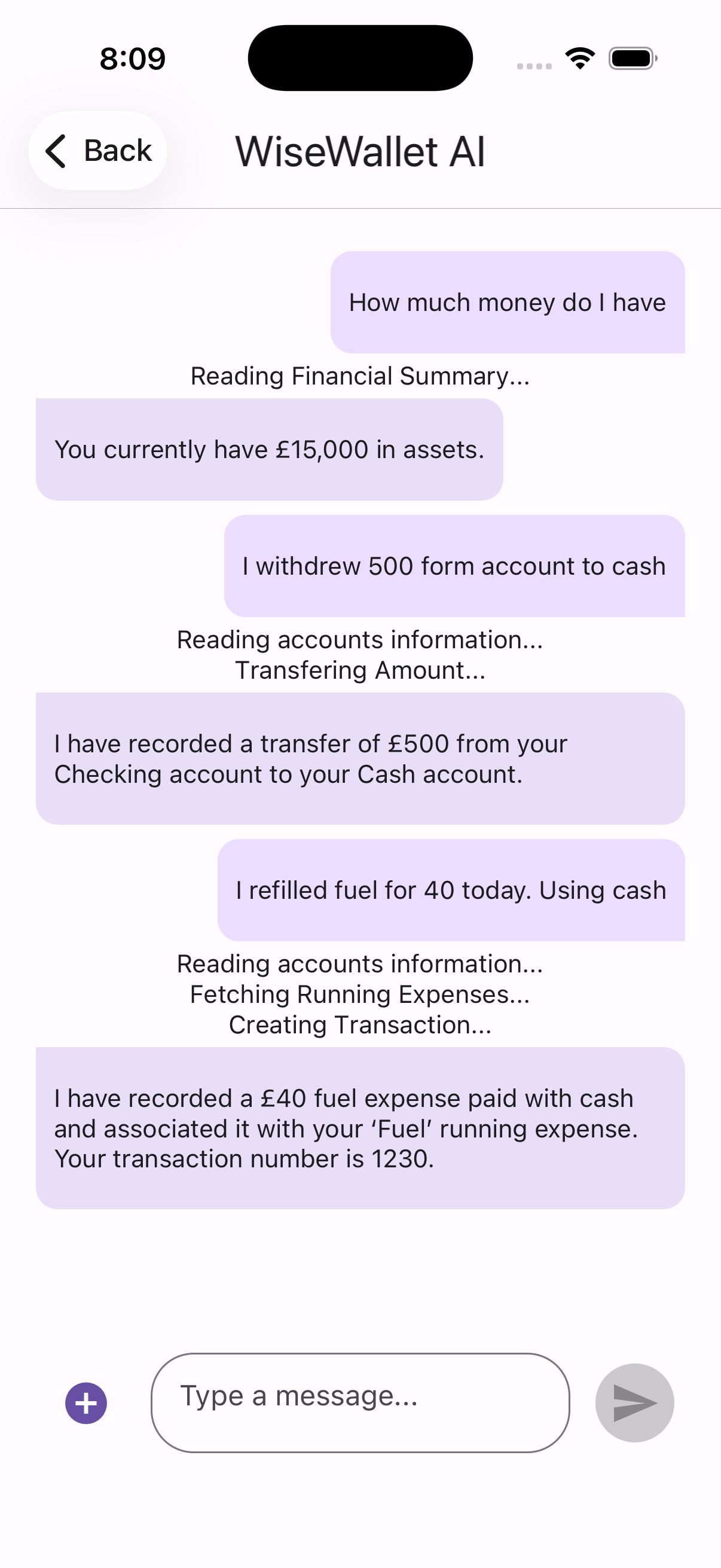 WiseWallet AI Assistant Screen